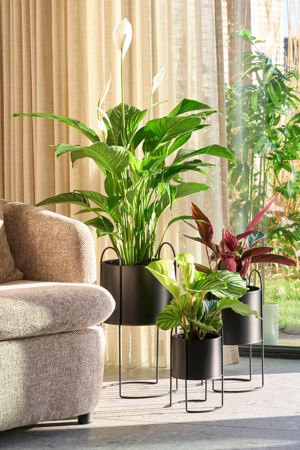 Vtwonen Mica Decorations Petry Bloempot Op Standaard - Set Van 3 - L27 X B25 X H51 Cm - Metaal - Zwart