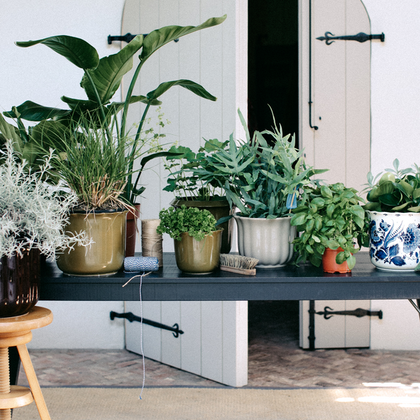 Vtwonen Royal Goedewaagen Pot Indoor - Ø23x17cm - Charcoal