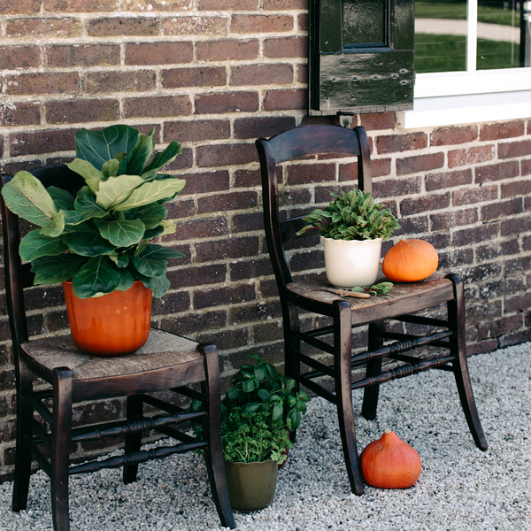 Vtwonen Royal Goedewaagen Pot Indoor - Ø25x20cm - Nature Green