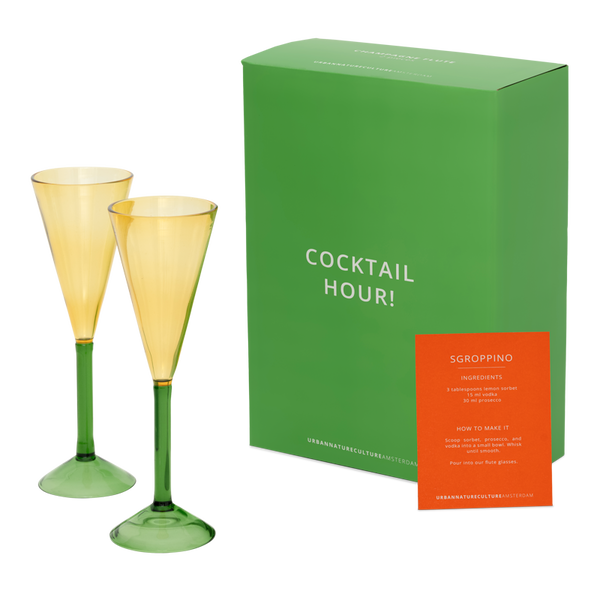 vtwonen Urban Nature Culture Champagne flute set van 2 in cadeauverpakking - Ø 7.5 * 24 CM