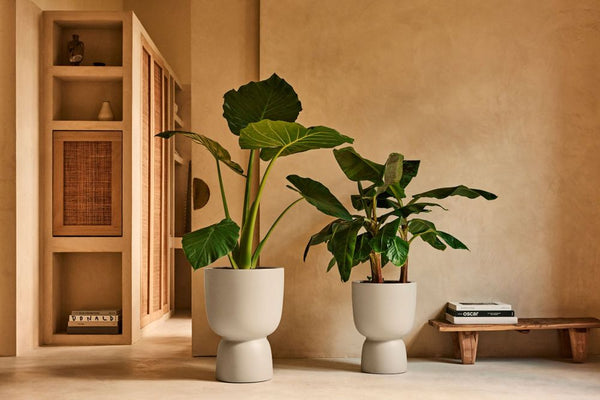 Vtwonen Elho Amber Coupe Beige - Ø41cm