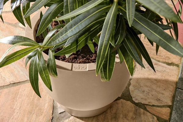 Vtwonen Elho Amber Coupe Beige - Ø41cm