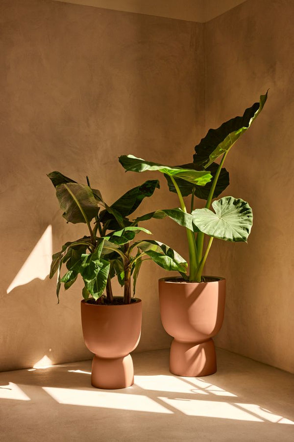 Vtwonen Elho Amber Coupe Bruin - Ø35cm