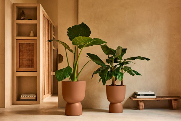 Vtwonen Elho Amber Coupe Bruin - Ø41cm