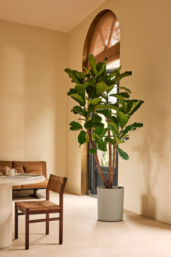 Vtwonen Elho Eden Aquacare High Grijs