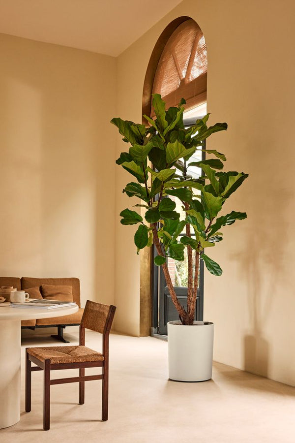 Vtwonen Elho Eden Aquacare High Wit