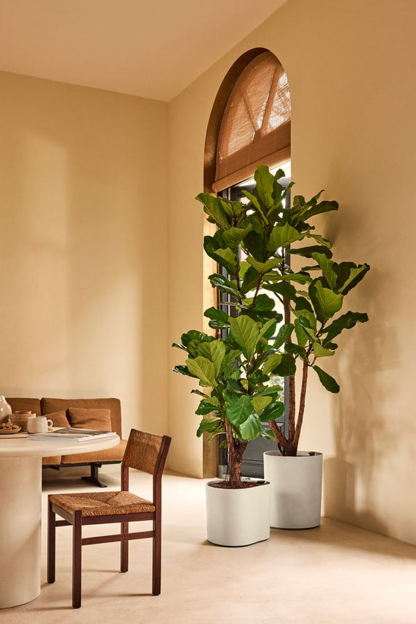 Vtwonen Elho Eden Aquacare Low Wit