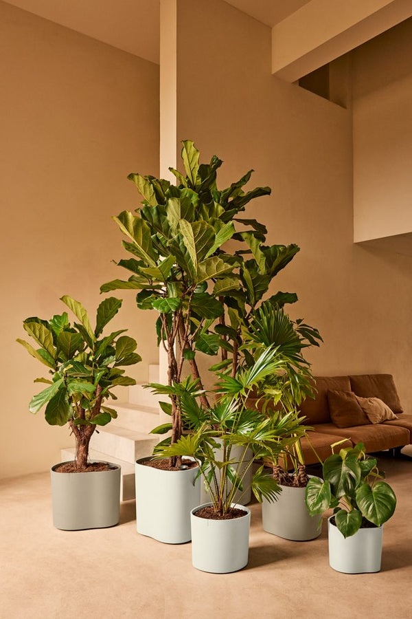 Vtwonen Elho Eden Grijs - Ø31cm