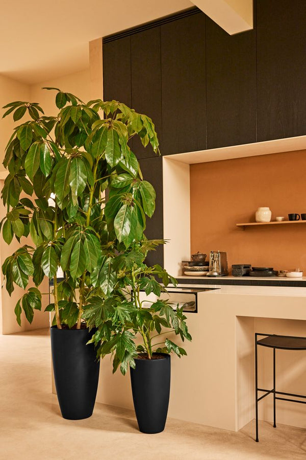 Vtwonen Elho June Round Zwart - Ø30cm