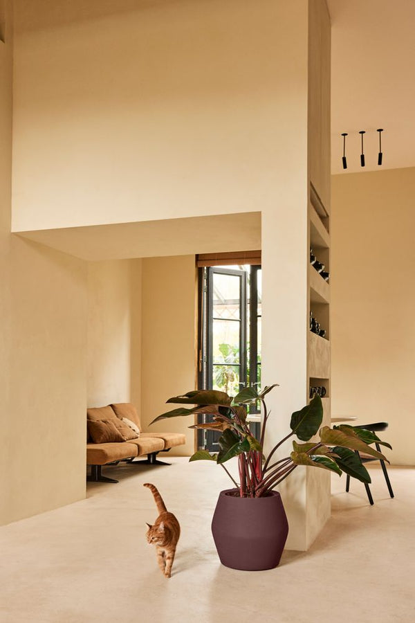 Vtwonen Elho June Split Low Paars - Ø46cm