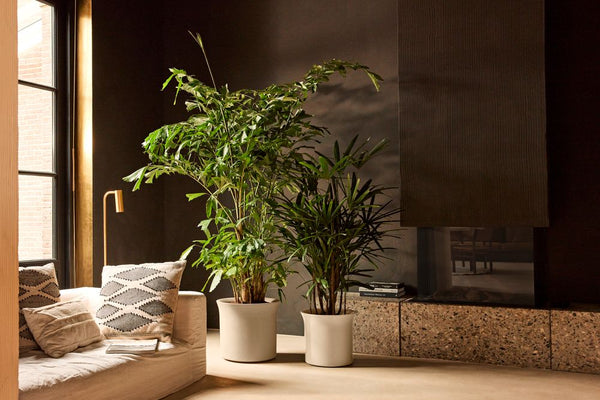 Vtwonen Elho June Tulip Beige - Ø39cm