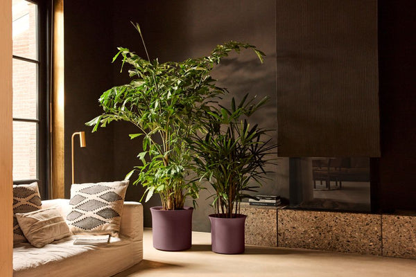 Vtwonen Elho June Tulip Paars - Ø39cm