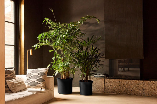 Vtwonen Elho June Tulip Zwart - Ø47cm