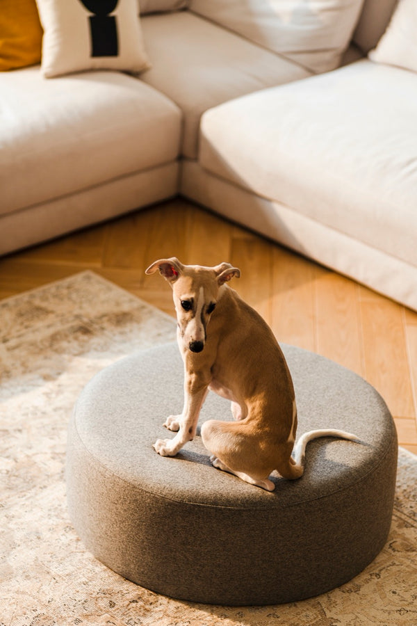 Vtwonen Noo.ma FOLK Poef - Universal Grey Wool