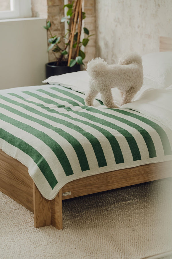 Vtwonen Noo.ma ONU Katoenen Deken - Forest Green