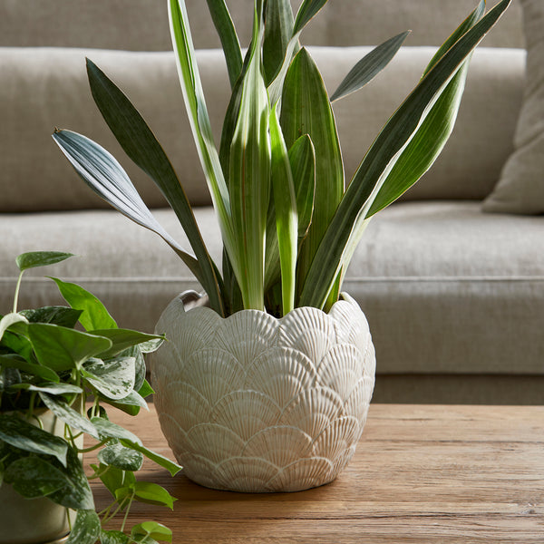 Vtwonen Rivièra Maison - Shell Planter - Keramiek - Wit