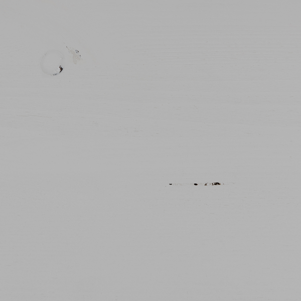 Vtwonen WOOOD Dressoir/vitrinekast Klink - Grenen - Mist - 120x200x46