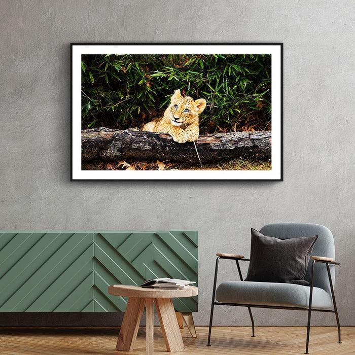 Walljar Afrikaanse Leeuw