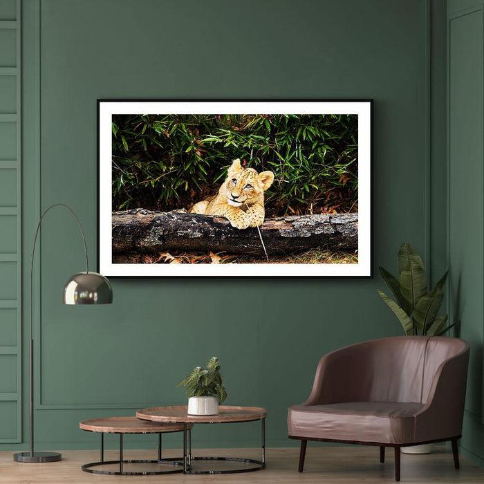 Walljar Afrikaanse Leeuw