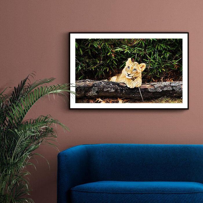 Walljar Afrikaanse Leeuw