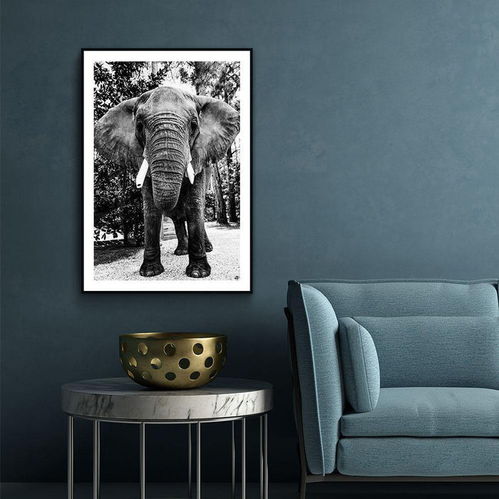Walljar Afrikaanse Olifant