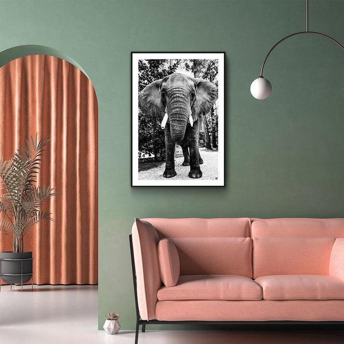 Walljar Afrikaanse Olifant