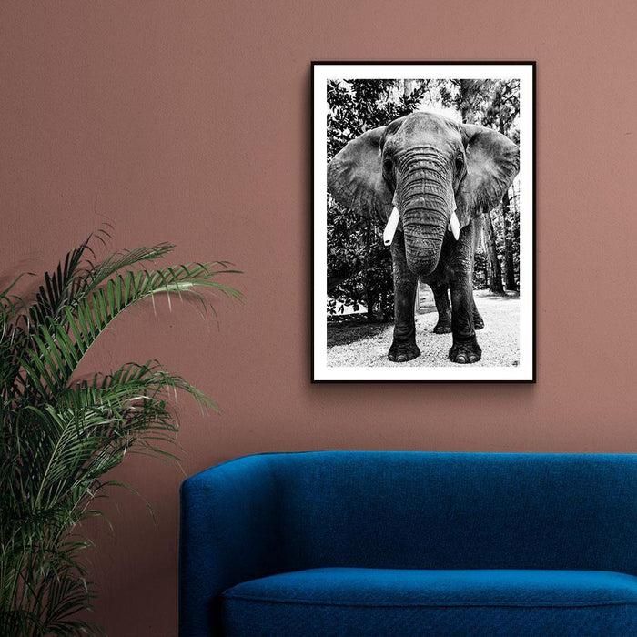 Walljar Afrikaanse Olifant