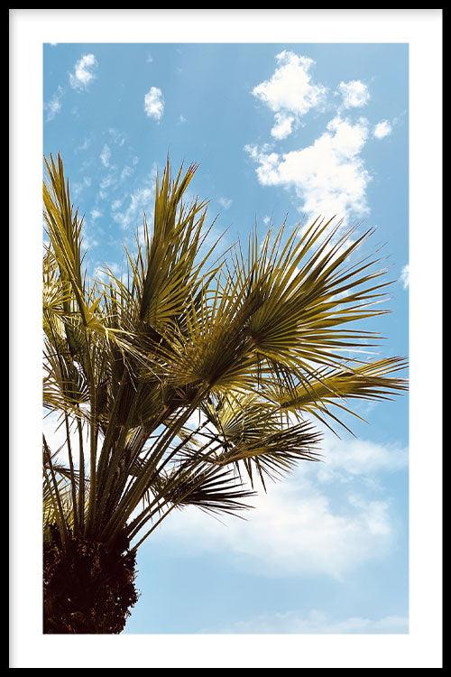 walljar Bellissima Palma