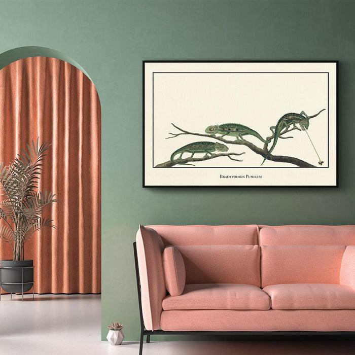 Walljar Bradypodion Pumilum