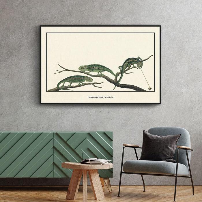 Walljar Bradypodion Pumilum