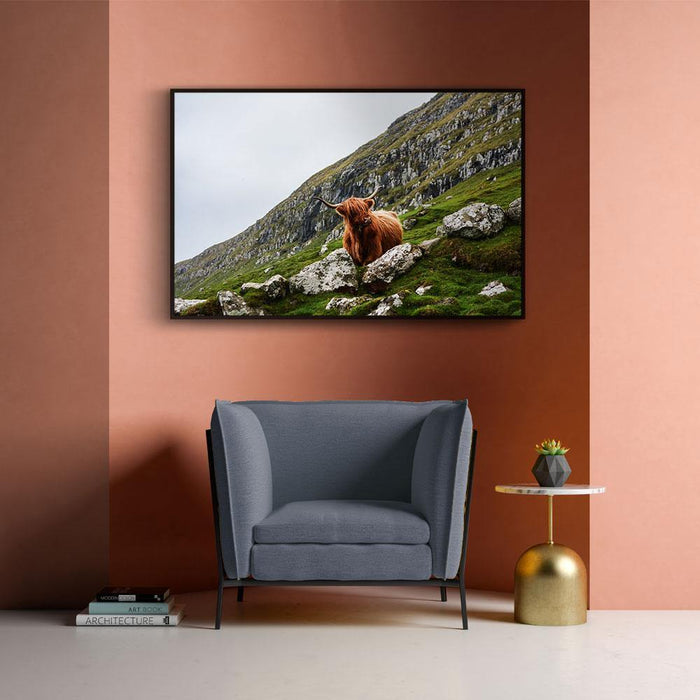 Walljar Bruine Stier