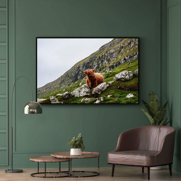 Walljar Bruine Stier