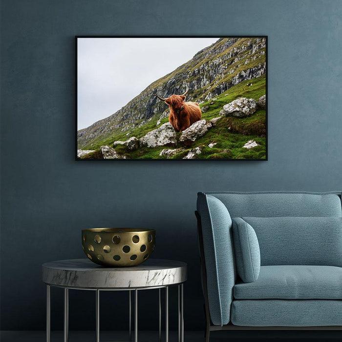 Walljar Bruine Stier