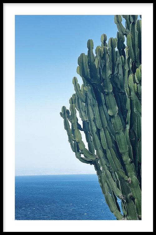 walljar Cactus At Sea