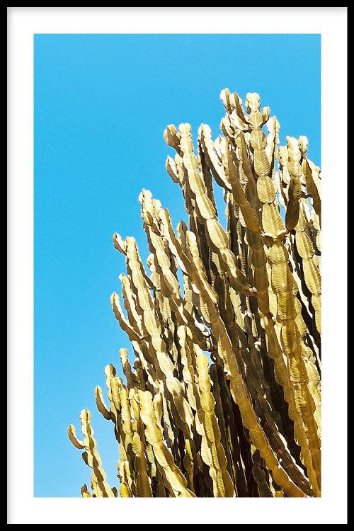 walljar Cactus Contrast