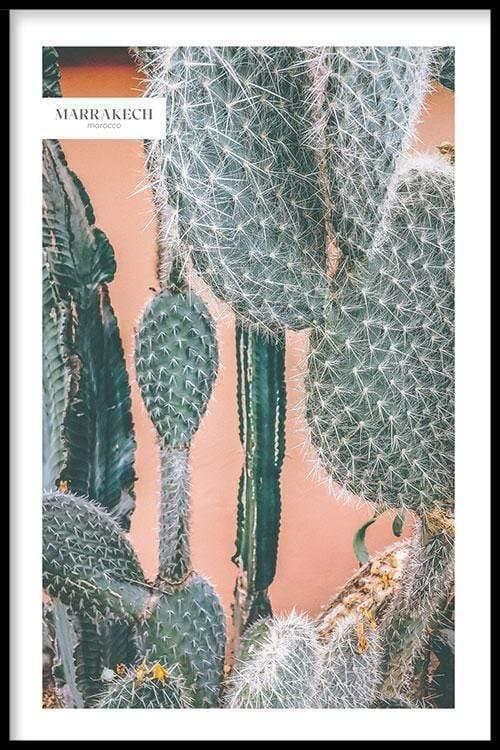 walljar Cactus In Marrakech