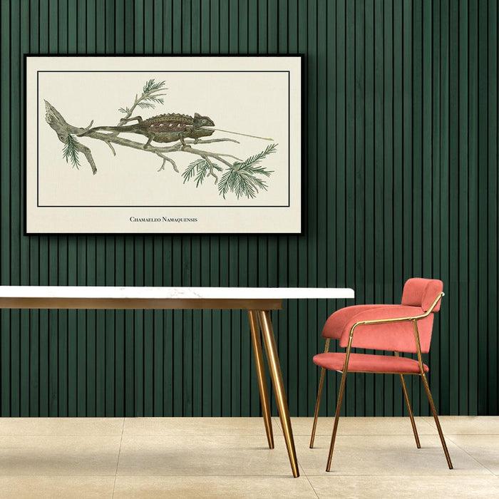 Walljar Chamaeleo Namaquensis