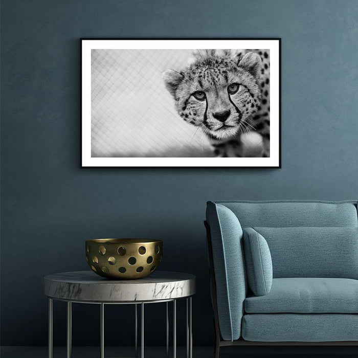 Walljar Cheetah Up Close