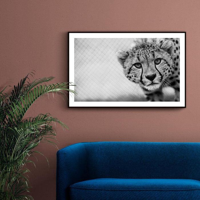 Walljar Cheetah Up Close