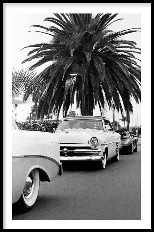 walljar Classic Car Under A Palm Tree