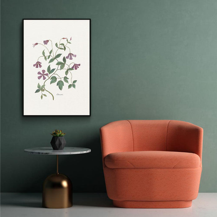 Walljar Clematis