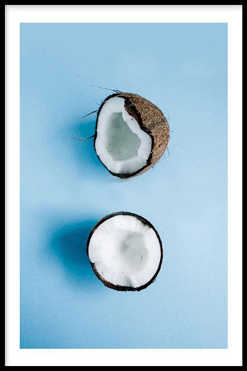 walljar Coconut
