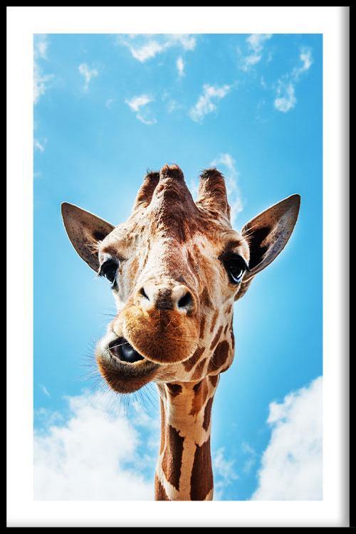 walljar Crazy Giraffe