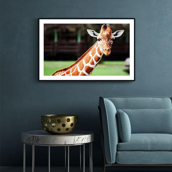 Walljar Cute Giraffe