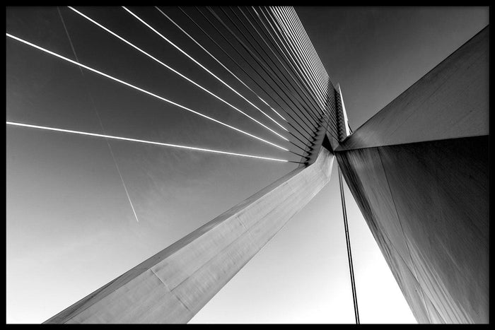 walljar De Erasmusbrug II