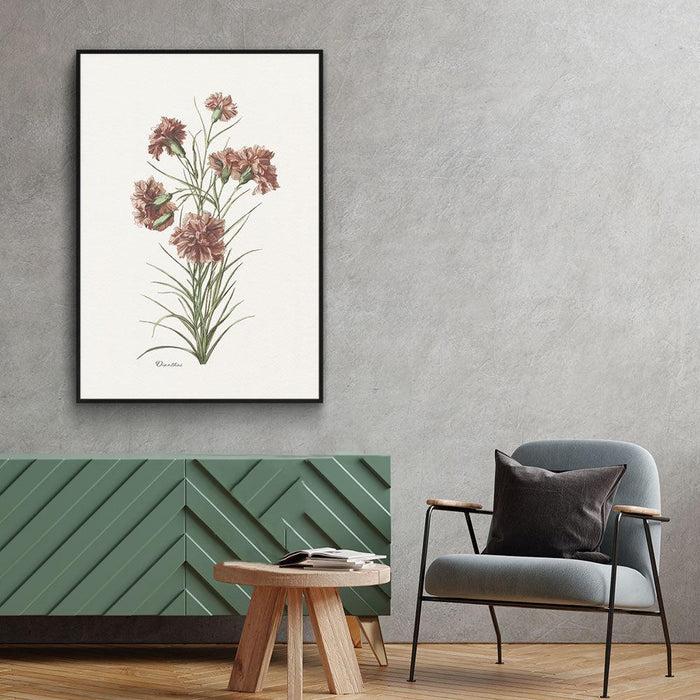 Walljar Dianthus