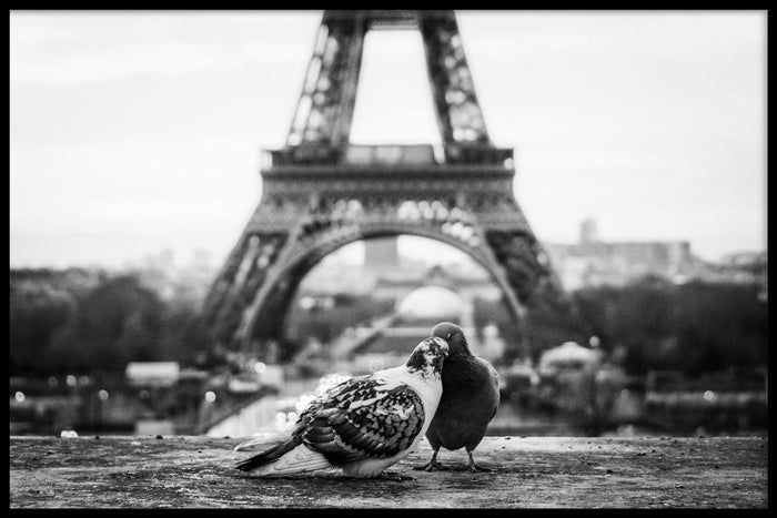 walljar Duiven In Parijs