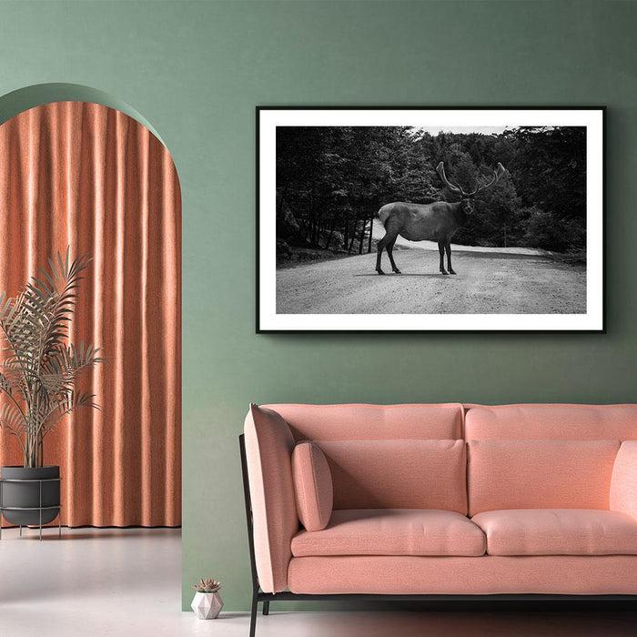 Walljar Eland
