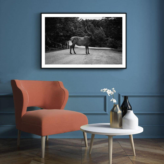 Walljar Eland