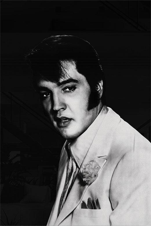 walljar Elvis Portait
